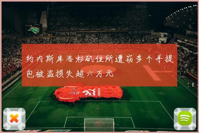 约内斯库洛杉矶住所遭窃多个手提包被盗损失超六万元