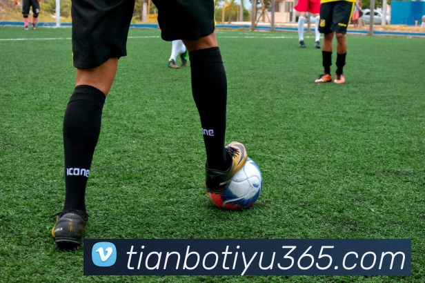 多媒体互动体验