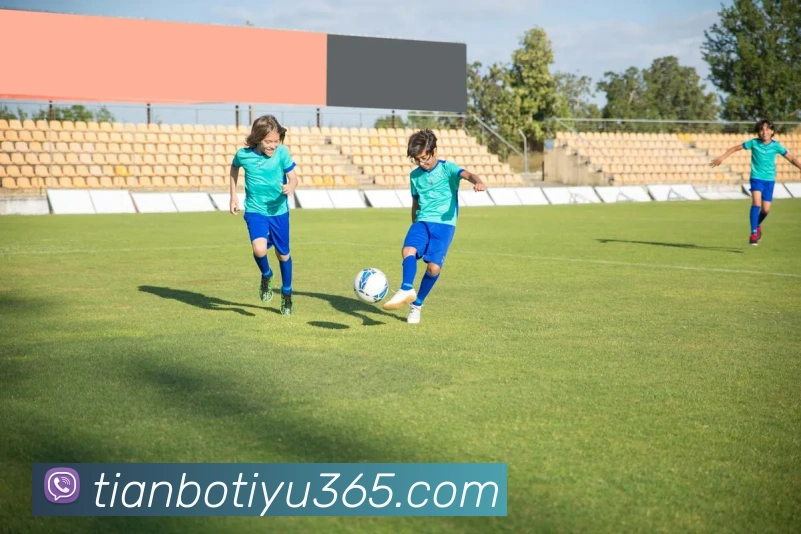 天博体育APP 高清赛事图